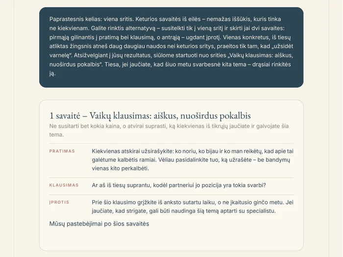 Ataskaitos puslapis