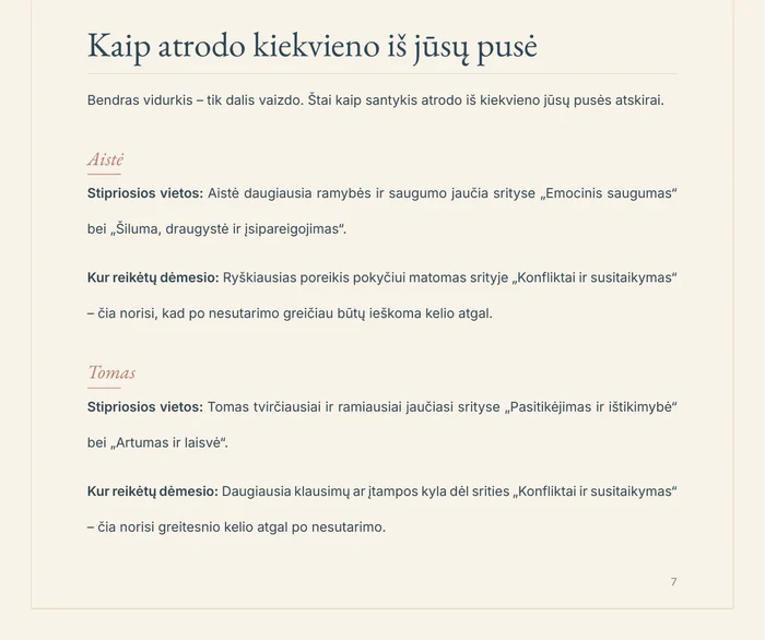 Ataskaitos puslapis